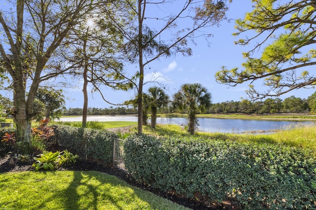 view of water feature