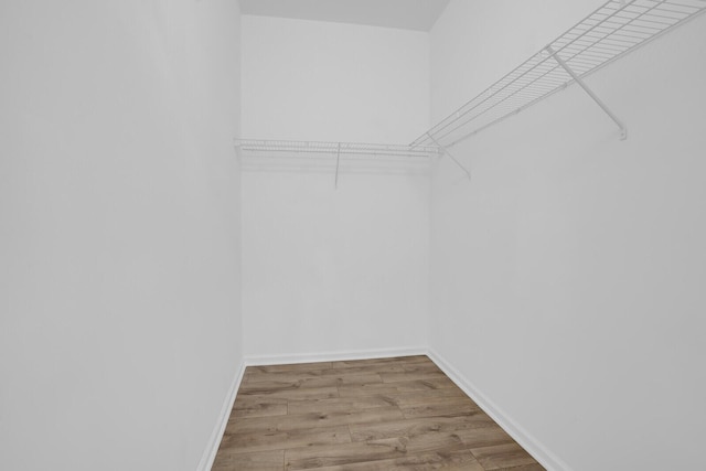 spacious closet featuring light hardwood / wood-style floors