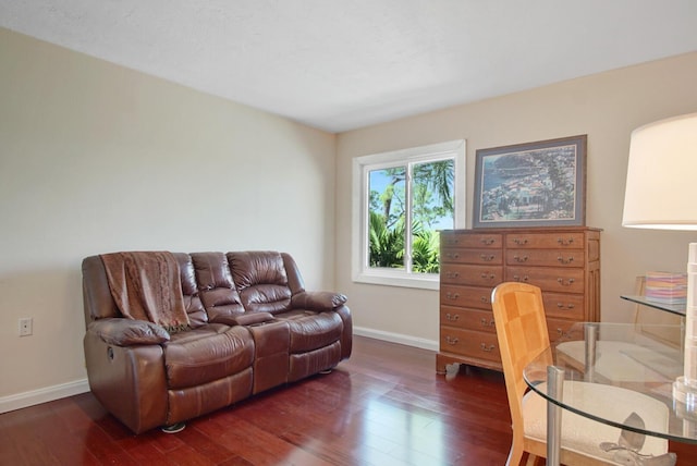 living room with dark hardwood / wood-style floors