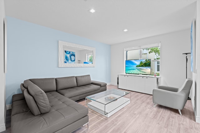 living room with light hardwood / wood-style flooring