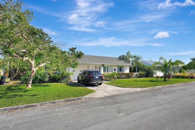 ranch-style house with a front lawn