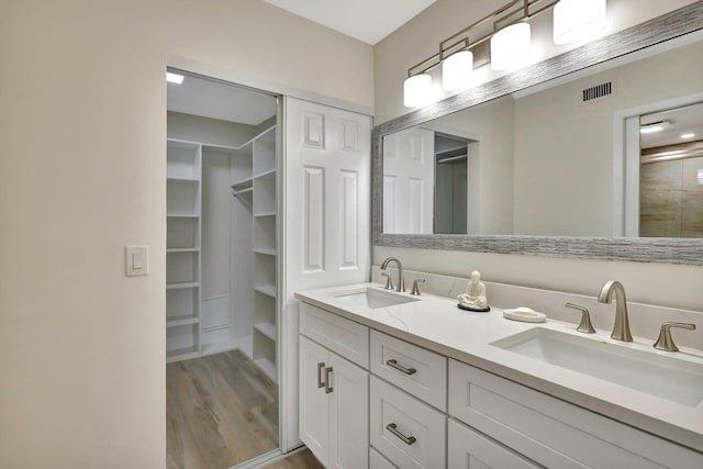 bathroom with hardwood / wood-style floors and vanity