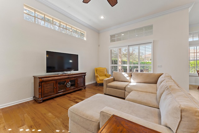 living room with crown molding, ceiling fan, and light wood-type flooring