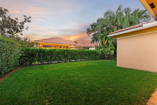 view of yard at dusk