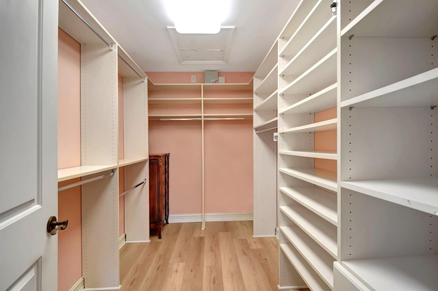 spacious closet with light hardwood / wood-style floors