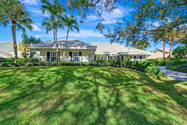 ranch-style house featuring a front lawn