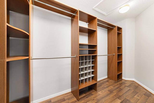 spacious closet with hardwood / wood-style flooring