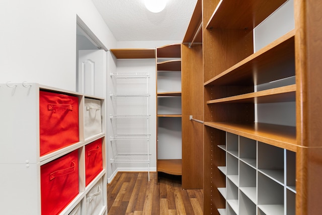 walk in closet featuring dark hardwood / wood-style flooring