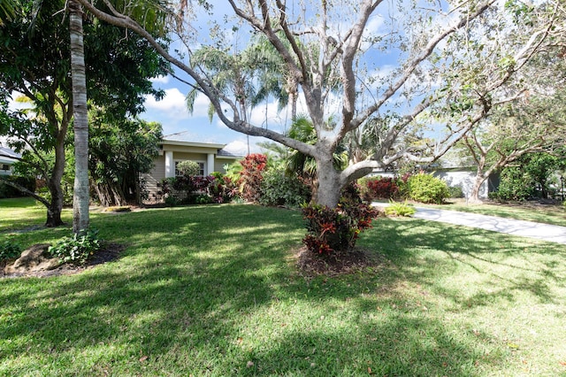 18640 SE River Ridge Rd, Jupiter, FL 33469 - view of front of property with a front lawn