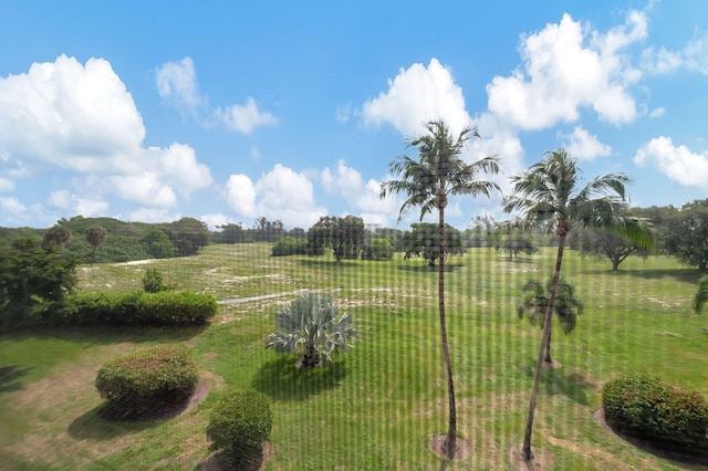 view of yard featuring a rural view