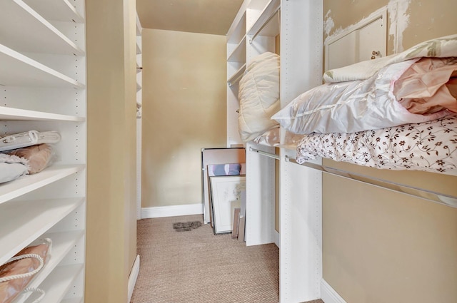 walk in closet with light colored carpet