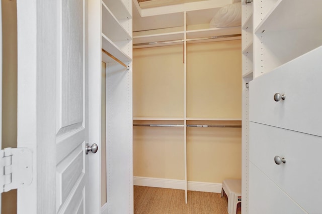 spacious closet featuring carpet