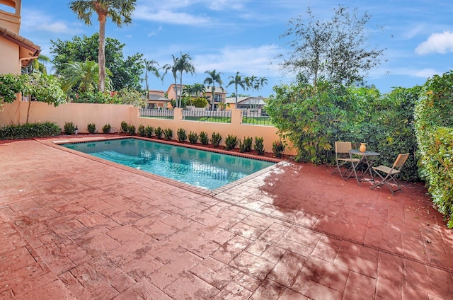 view of swimming pool featuring a patio area