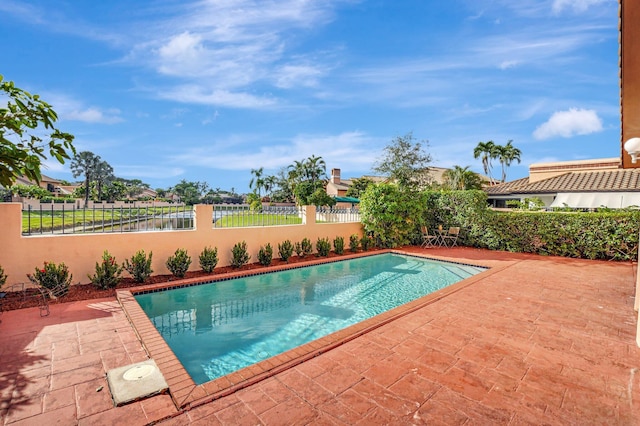 view of swimming pool with a patio area