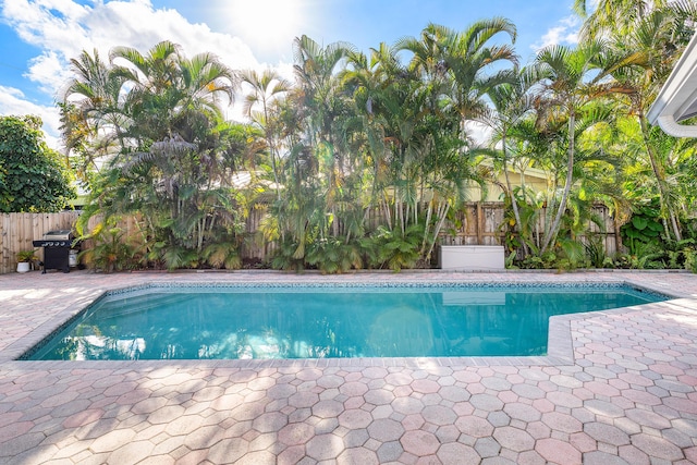 view of pool featuring a fenced in pool, a patio area, a fenced backyard, and area for grilling