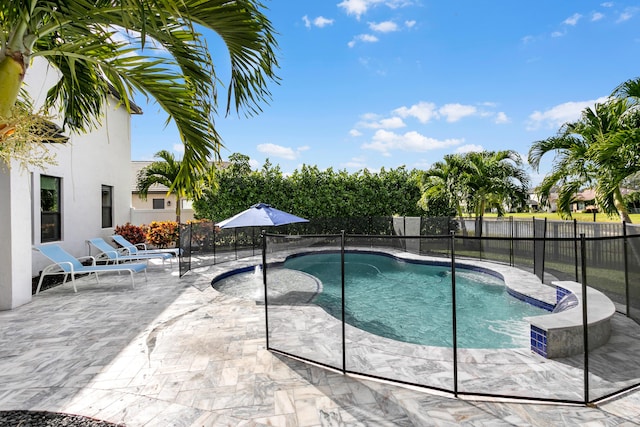 view of pool featuring a patio