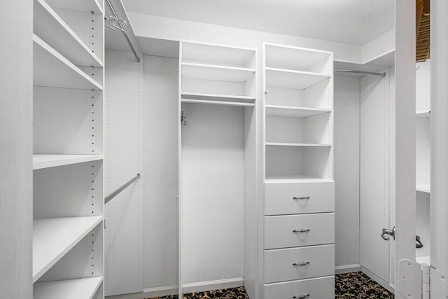 walk in closet with carpet