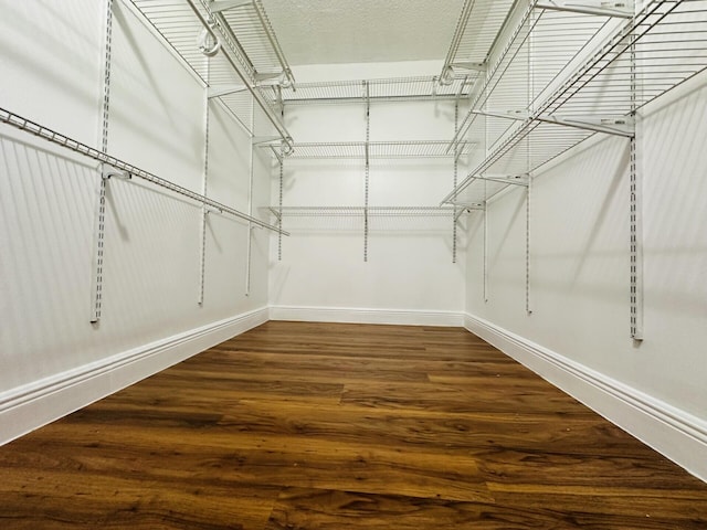 spacious closet with wood-type flooring