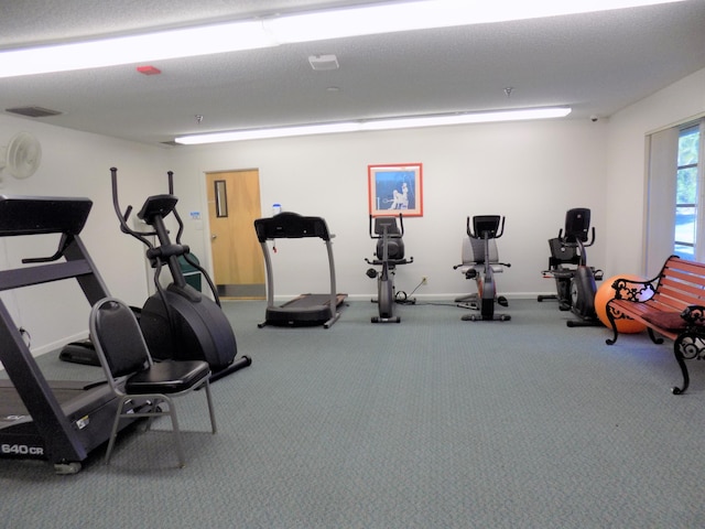 workout area featuring carpet floors