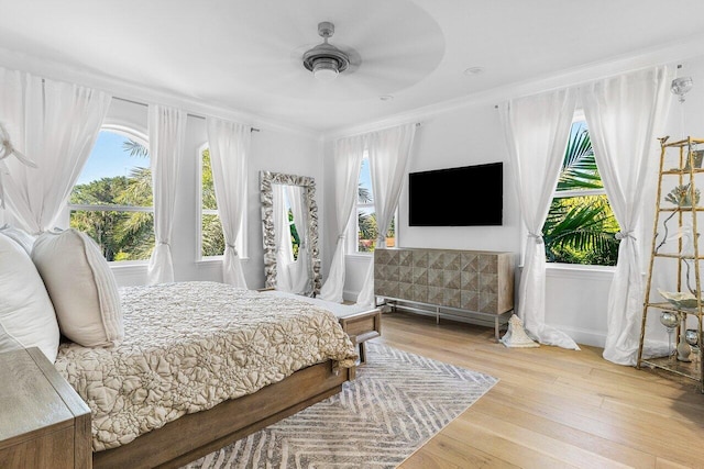 bedroom featuring light hardwood / wood-style flooring, multiple windows, and ceiling fan