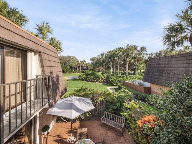 view of yard featuring a patio area