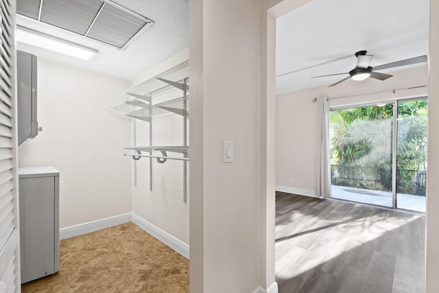 walk in closet featuring carpet flooring and ceiling fan