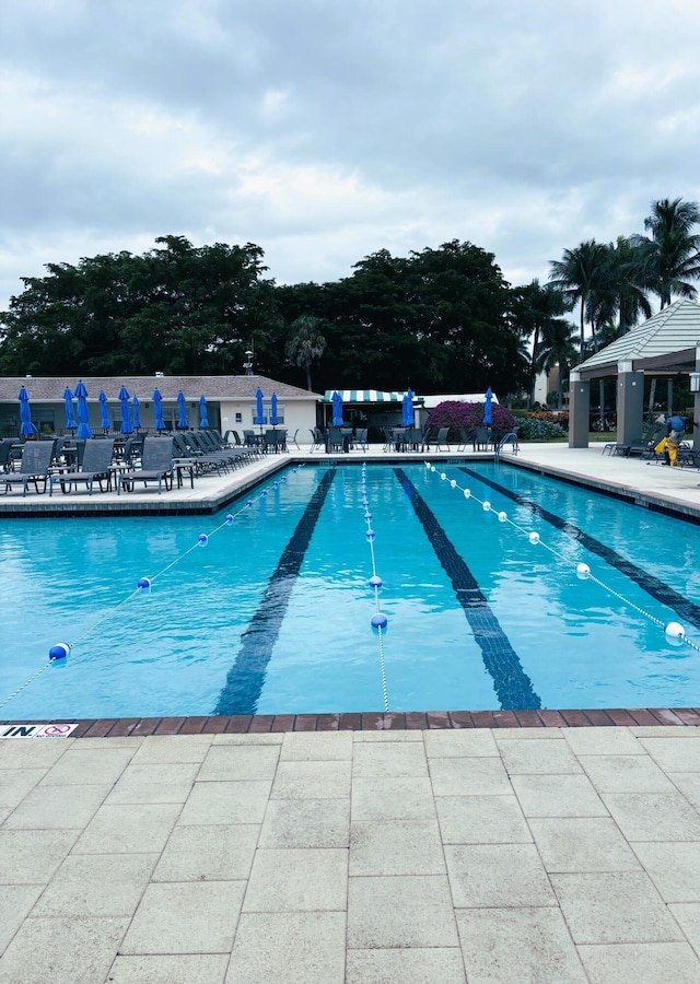 view of pool featuring a patio