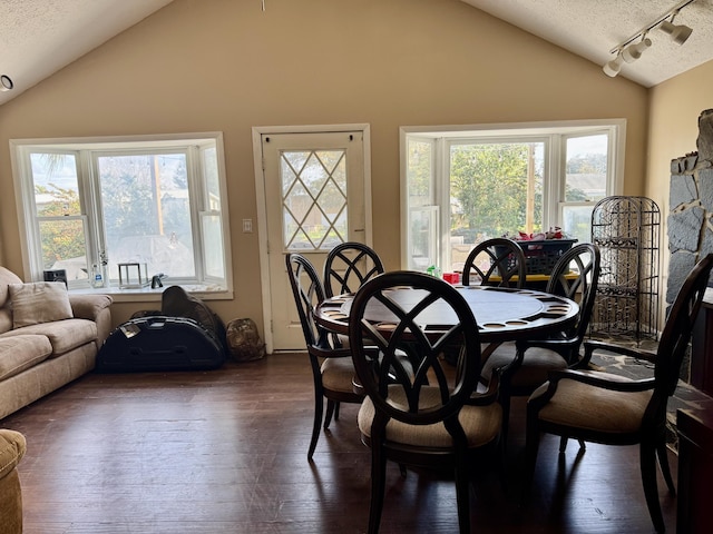 dining area featuring lofted ceiling, dark wood-type flooring, a textured ceiling, and a healthy amount of sunlight