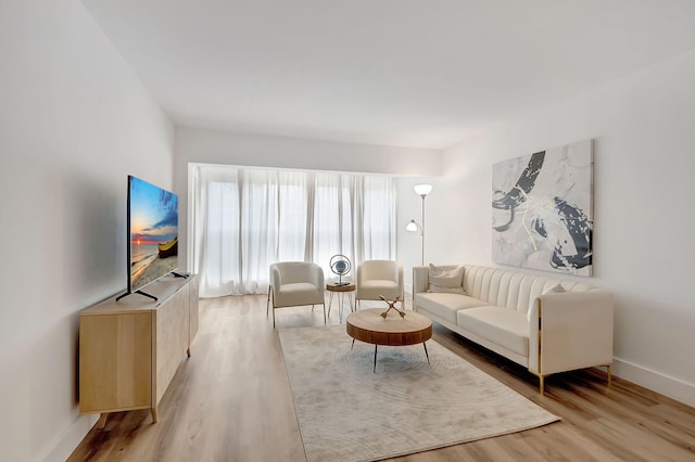 living room with light wood-type flooring