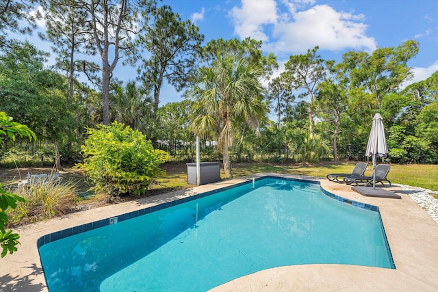 view of swimming pool with a patio