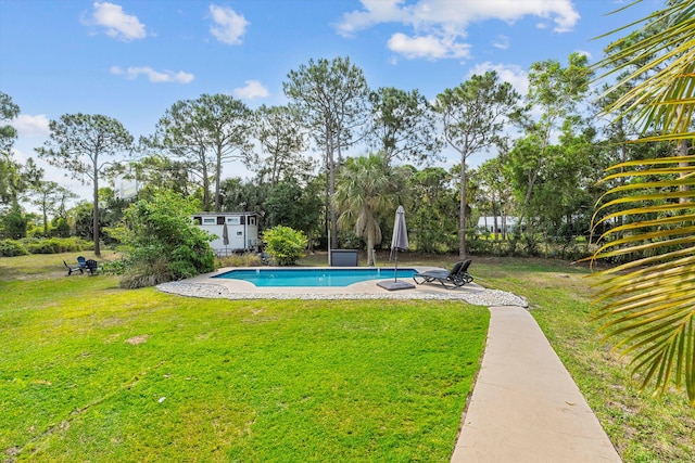 view of swimming pool with a patio area and a yard