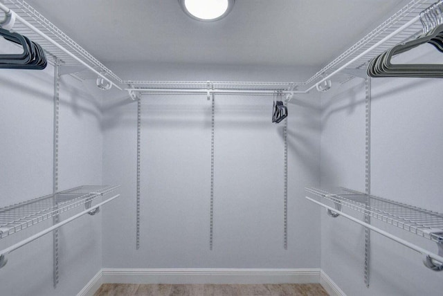 view of walk in closet