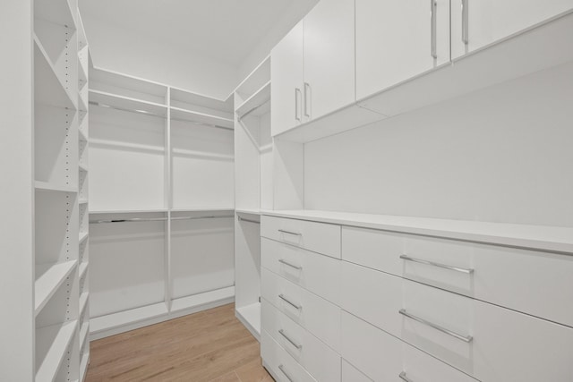 walk in closet featuring light wood-style flooring