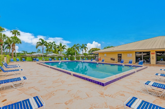 view of swimming pool featuring a patio