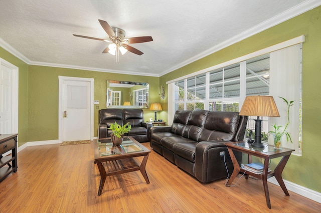 living room with crown molding, light hardwood / wood-style flooring, ceiling fan, and a textured ceiling