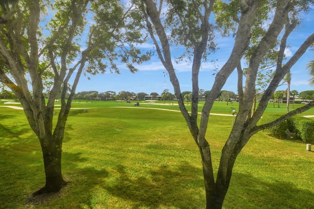 view of property's community featuring a yard