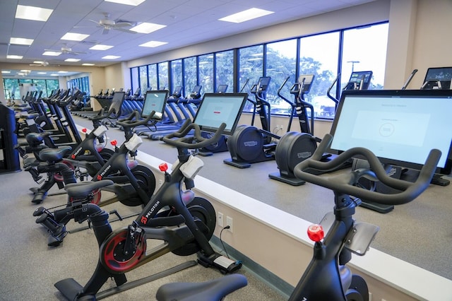 workout area with a drop ceiling and ceiling fan