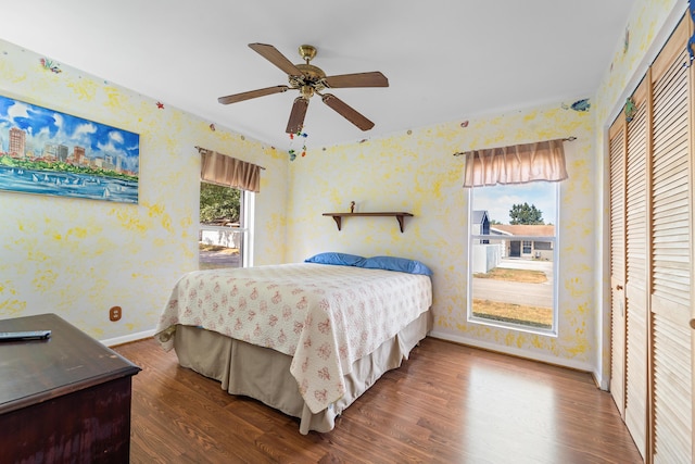 bedroom with multiple windows, ceiling fan, dark hardwood / wood-style floors, and a closet