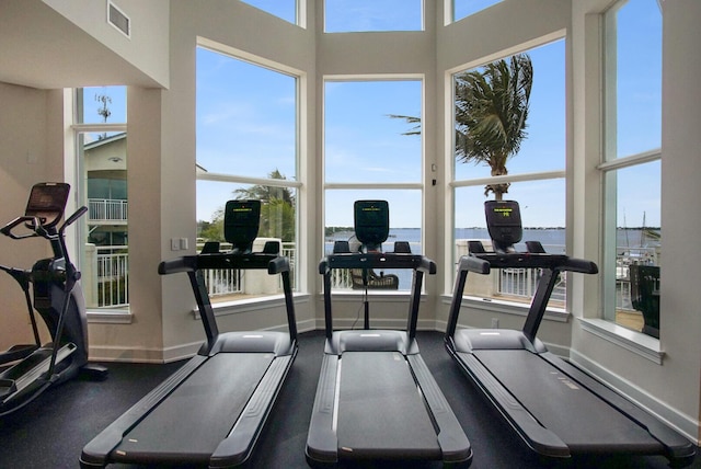 exercise room featuring plenty of natural light