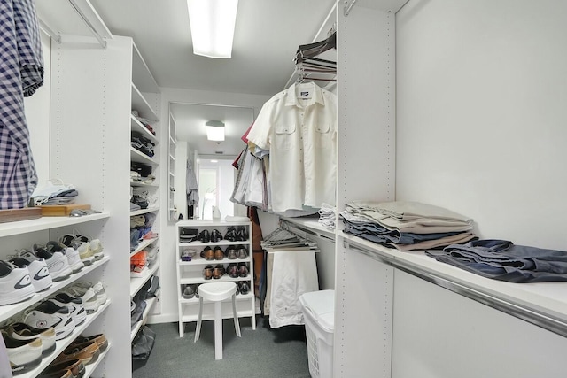 walk in closet with dark colored carpet