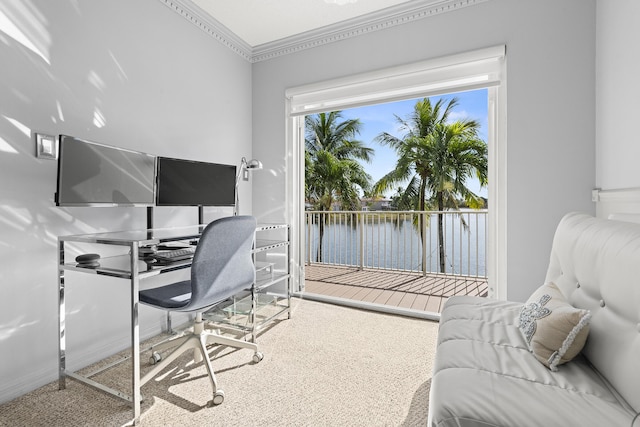 office space with carpet floors, crown molding, and a healthy amount of sunlight