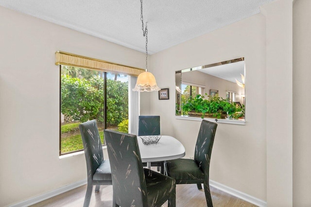 dining space with wood-type flooring, a textured ceiling, and a healthy amount of sunlight