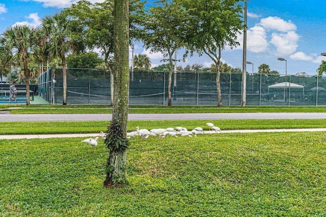 view of tennis court with a yard