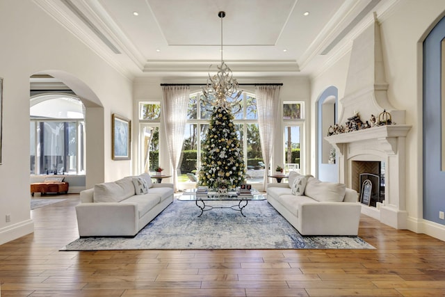 living room featuring a raised ceiling and light hardwood / wood-style flooring