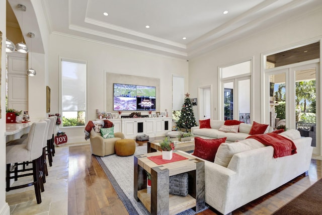 living room featuring plenty of natural light, a raised ceiling, a high ceiling, and light hardwood / wood-style flooring