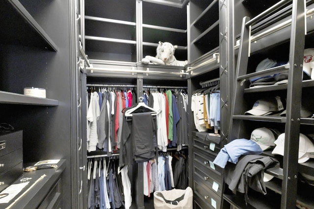 view of walk in closet