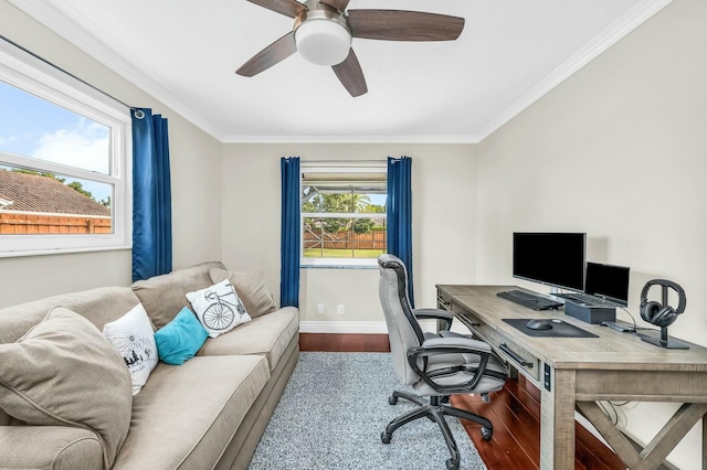 office area with crown molding, a wealth of natural light, and hardwood / wood-style floors