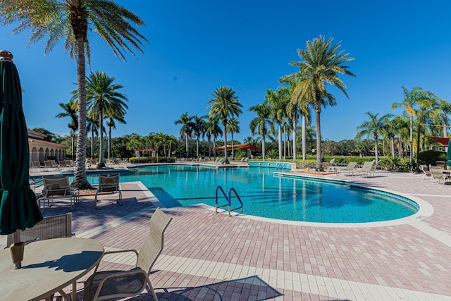 view of pool featuring a patio