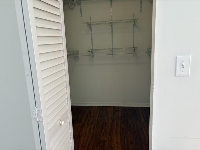 spacious closet featuring dark hardwood / wood-style floors