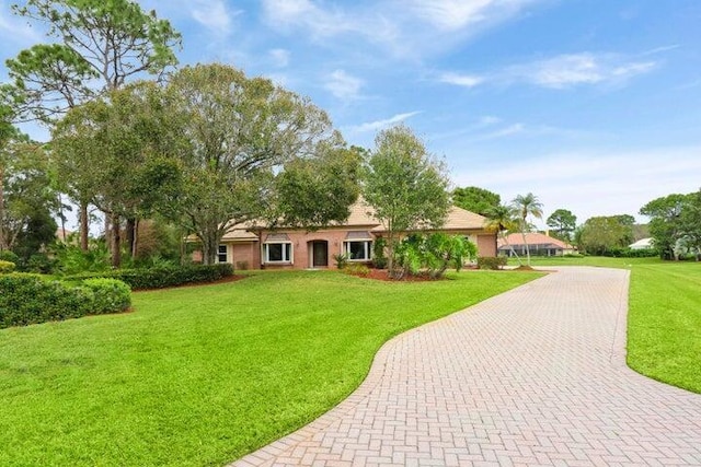 ranch-style home featuring a front yard